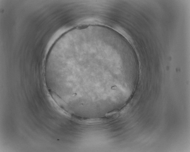 X0000071911392200607281817