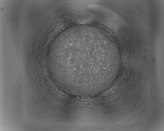 X0000071911393200607281816