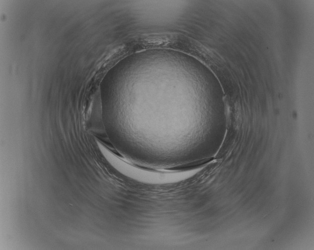 X0000071911394200607281816