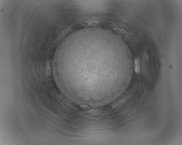 X0000071911395200607281816