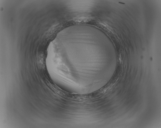 X0000071911396200607281817