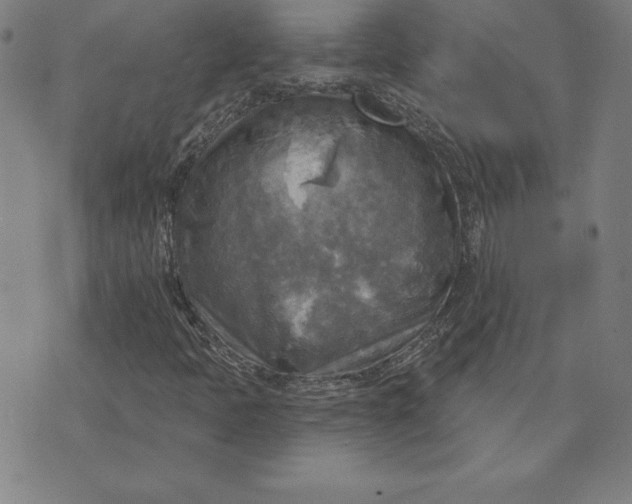 X0000071911397200607281817