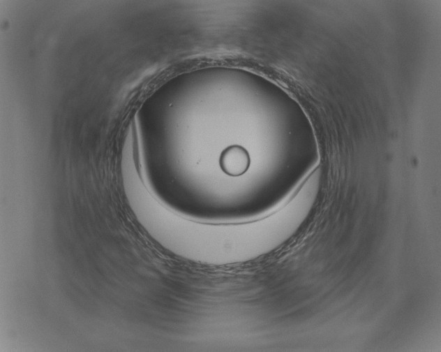 X0000071911398200607281817