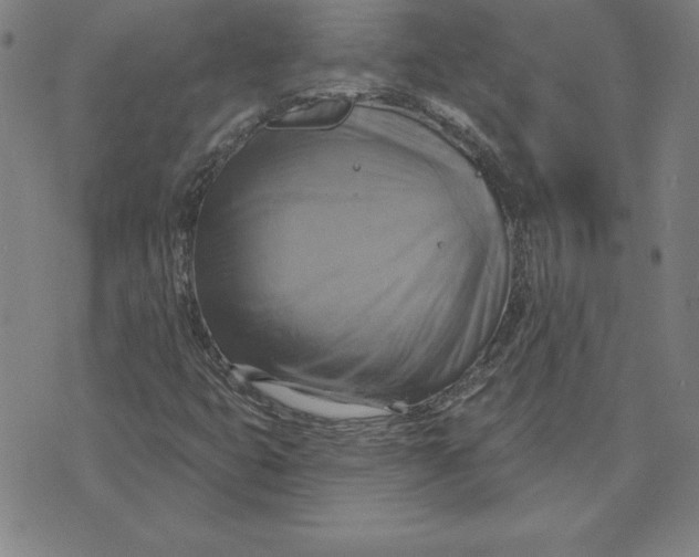 X0000071911399200607281817