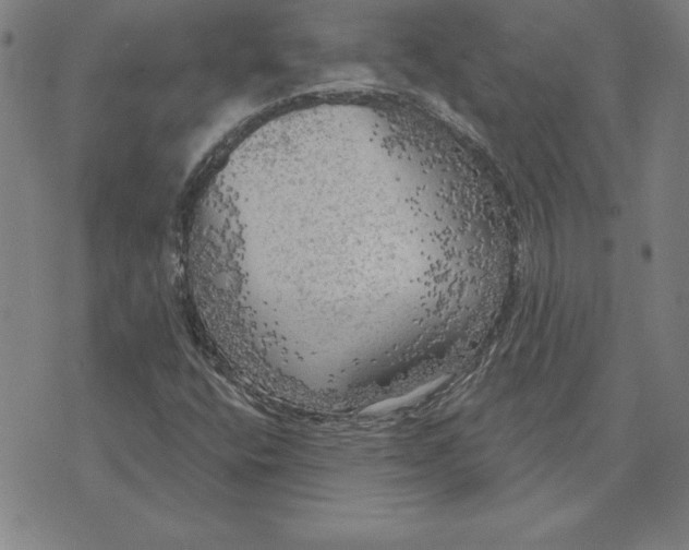 X0000071911400200607281817