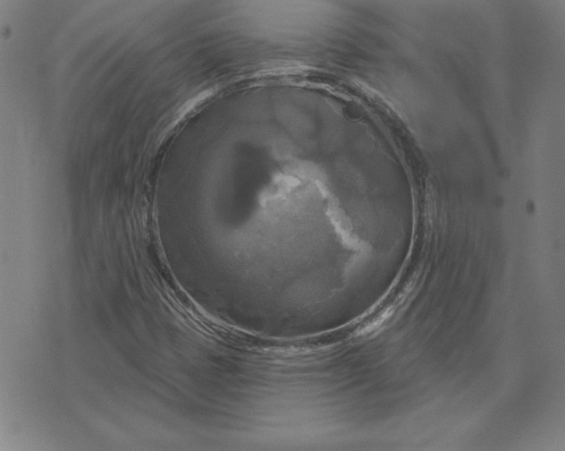 X0000071911401200607281817