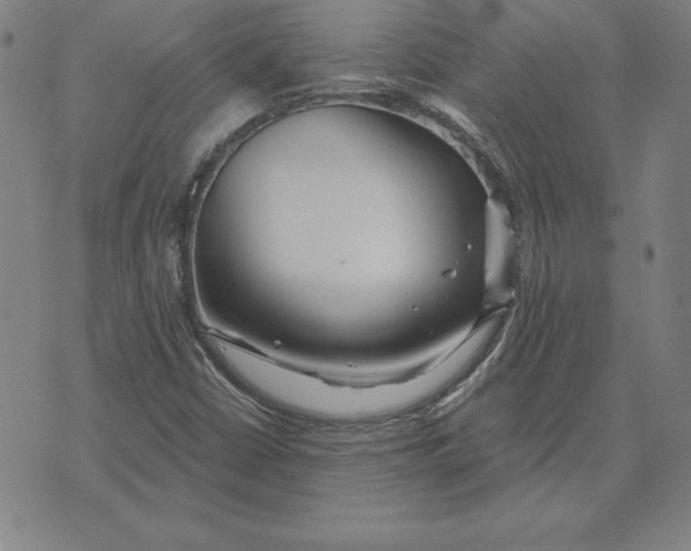 X0000071911402200607281817