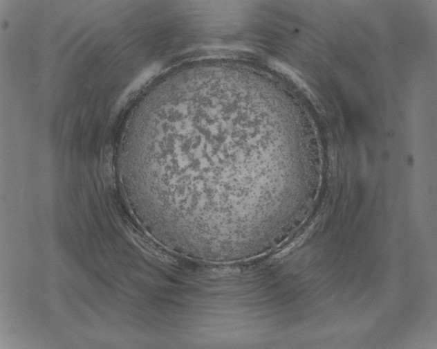 X0000071911403200607281817