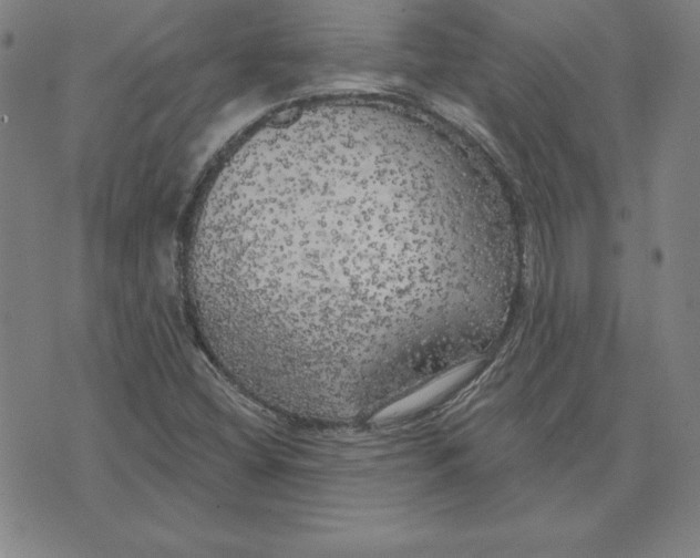 X0000071911404200607281817