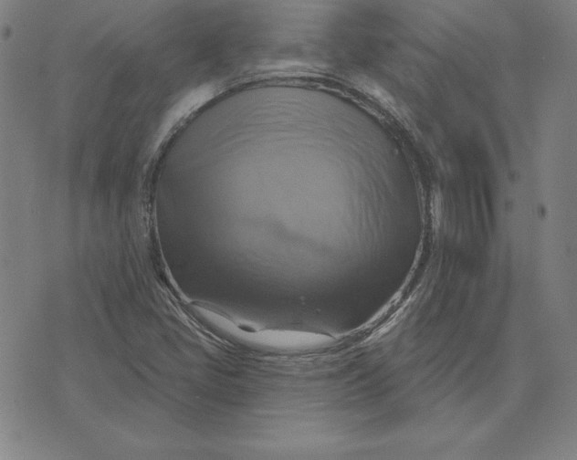 X0000071911405200607281817