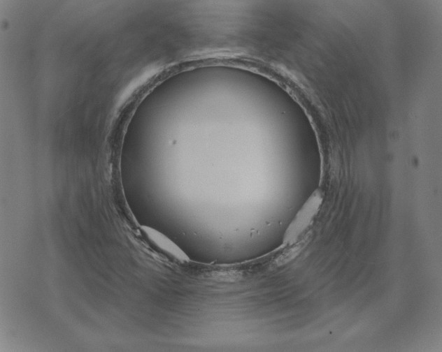 X0000071911406200607281817