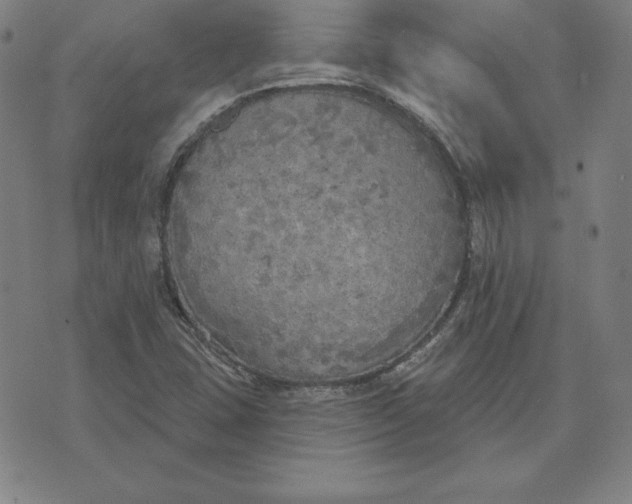 X0000071911407200607281817