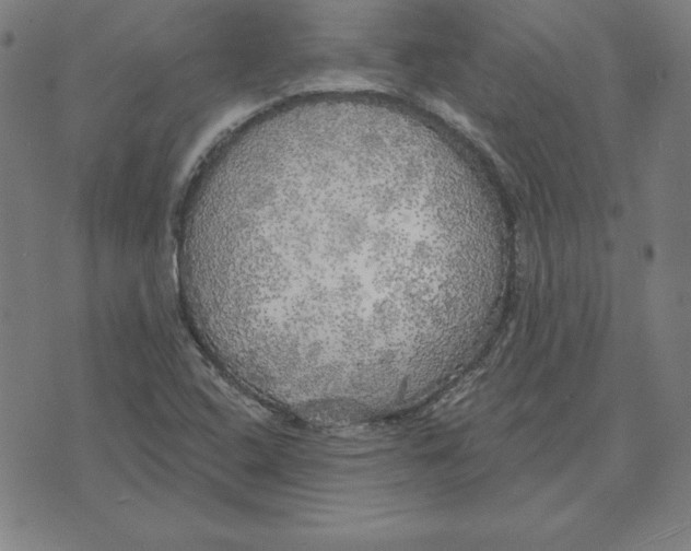 X0000071911408200607281817