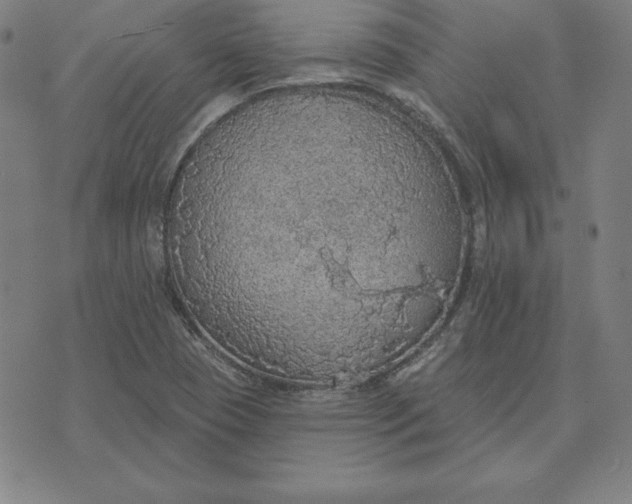 X0000071911409200607281817