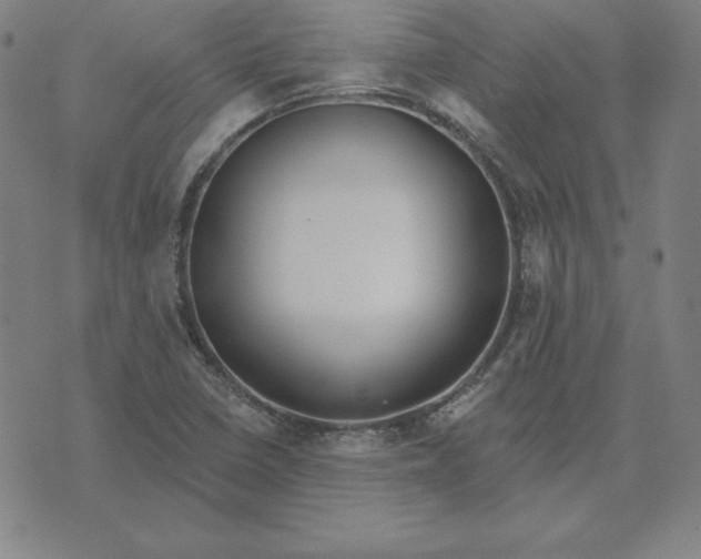 X0000071911410200607281817