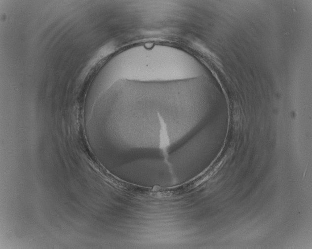 X0000071911411200607281817