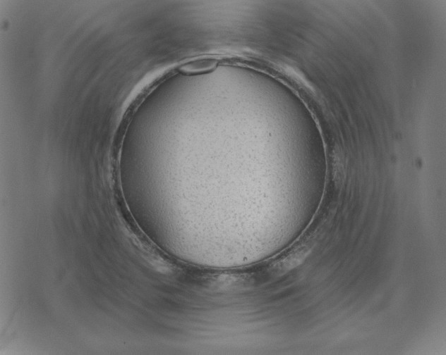 X0000071911412200607281817