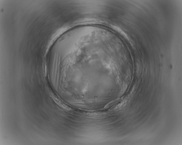 X0000071911413200607281817