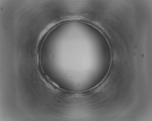 X0000071911414200607281817