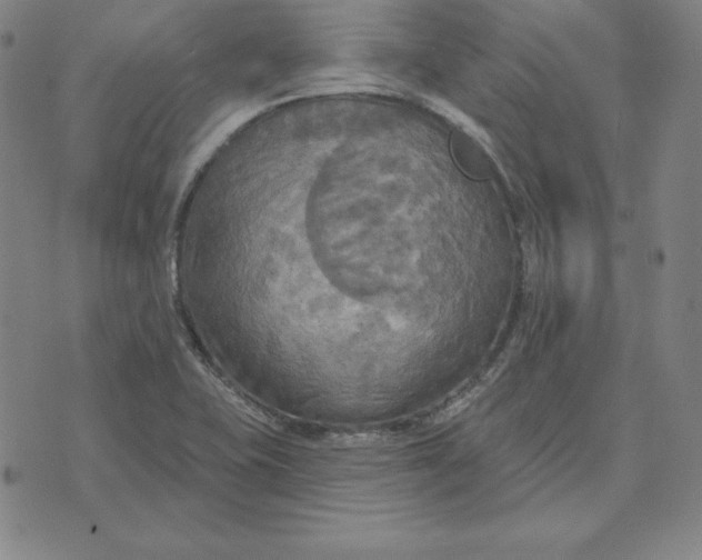 X0000071911415200607281817