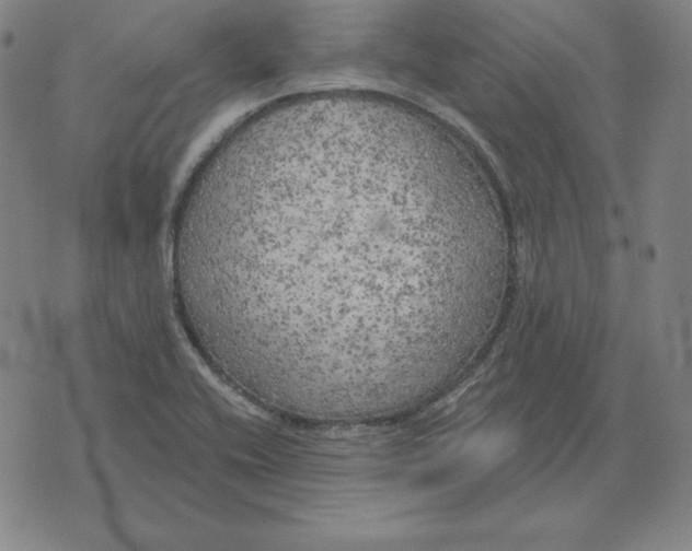 X0000071911416200607281817