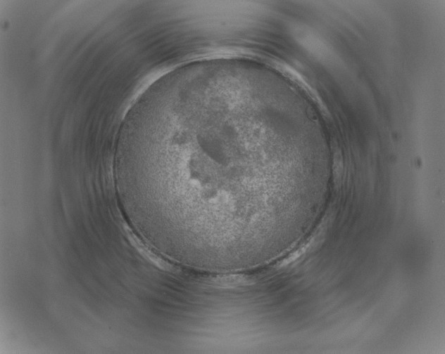 X0000071911417200607281817