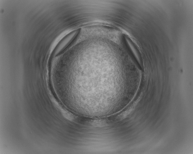 X0000071911418200607281817