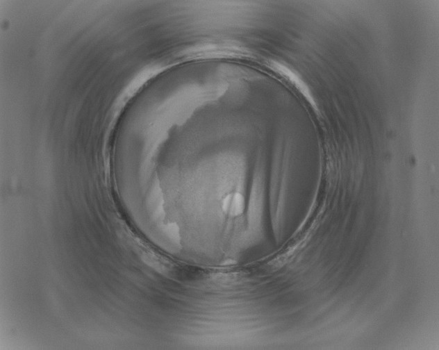 X0000071911419200607281817