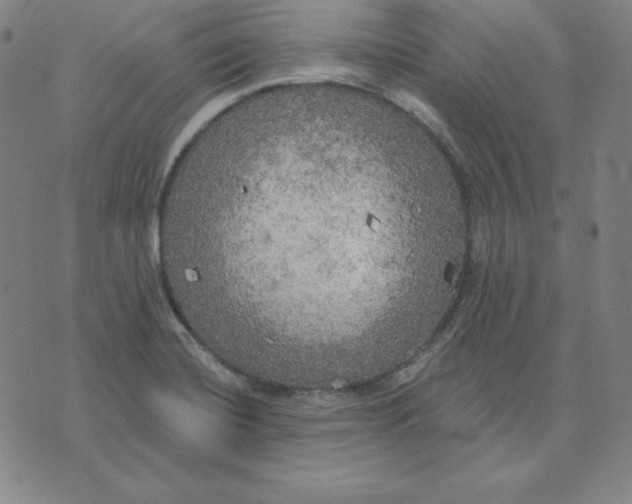 X0000071911420200607281817