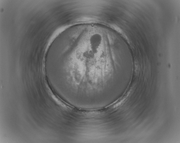 X0000071911421200607281817