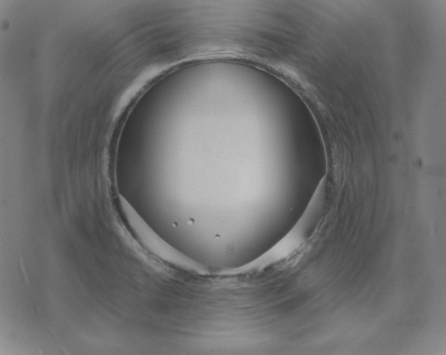 X0000071911422200607281817