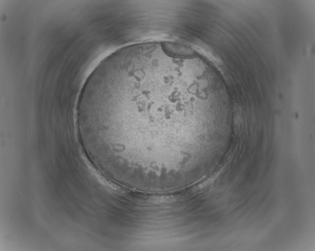 X0000071911423200607281817