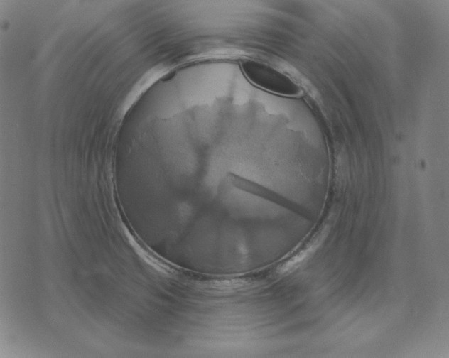 X0000071911425200607281817