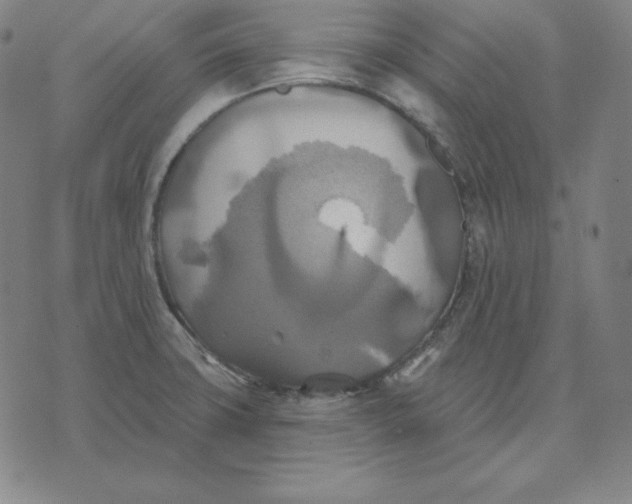 X0000071911427200607281817