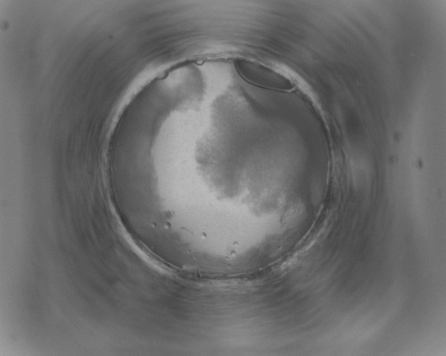 X0000071911429200607281817