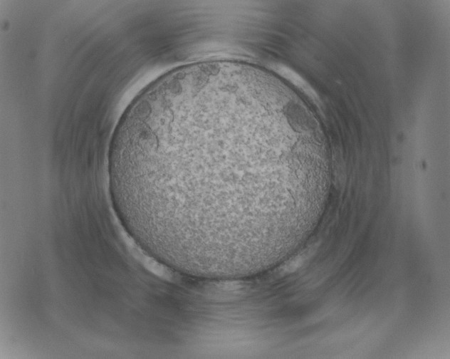 X0000071911431200607281817