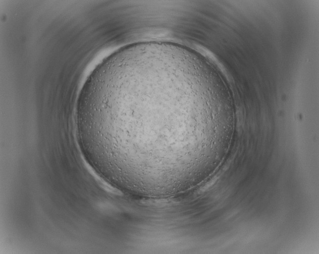 X0000071911432200607281817