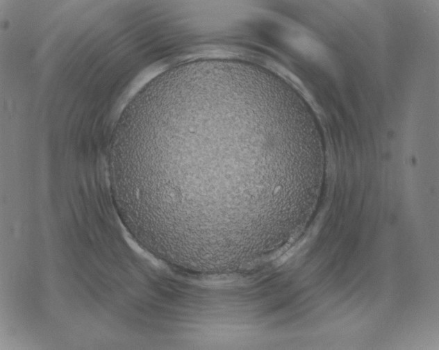 X0000071911433200607281817