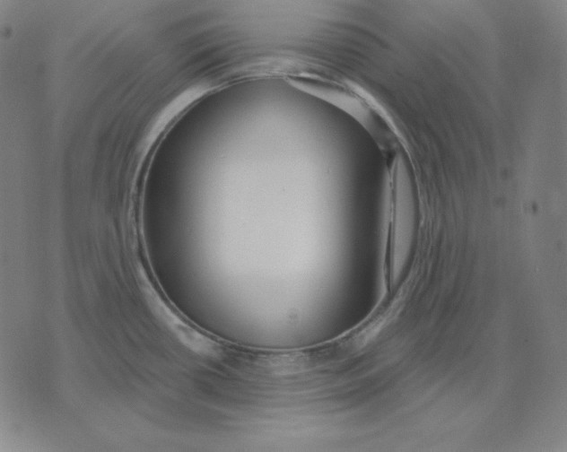 X0000071911434200607281817