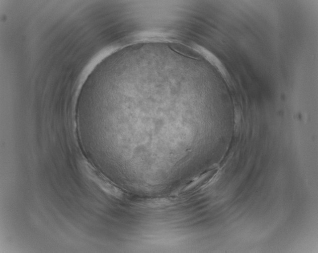 X0000071911435200607281817