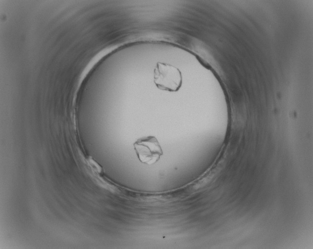 X0000071911436200607281817