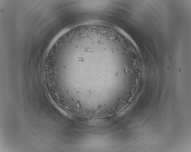 X0000071911437200607281817