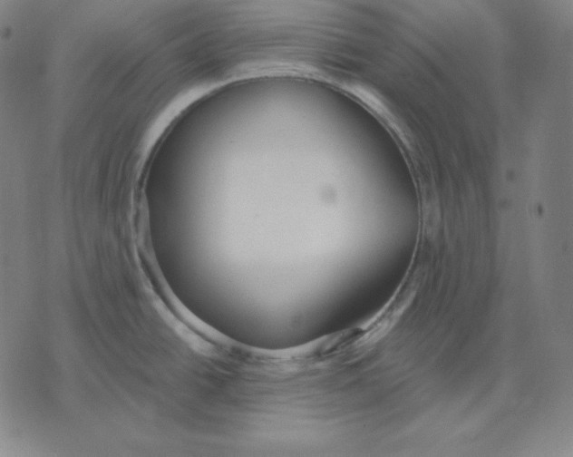 X0000071911438200607281817