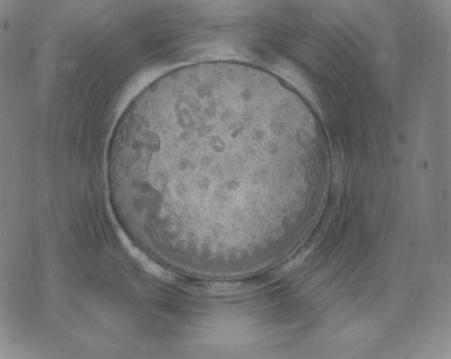 X0000071911439200607281817