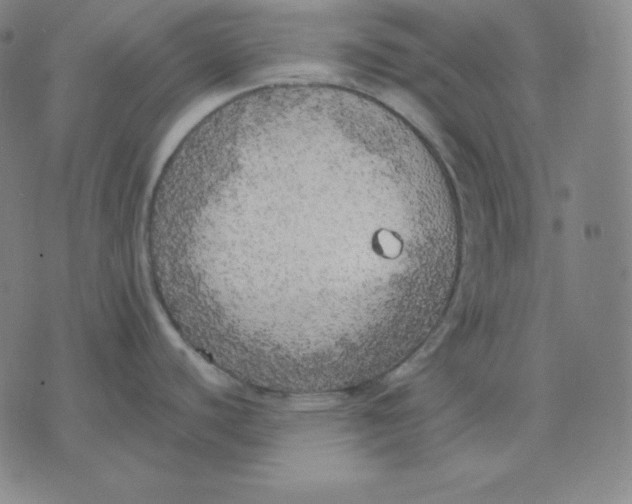 X0000071911440200607281817