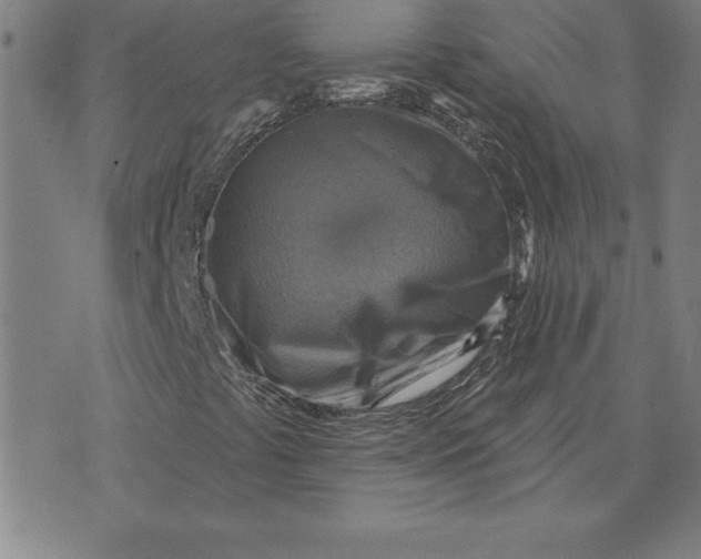 X0000071911441200607281816