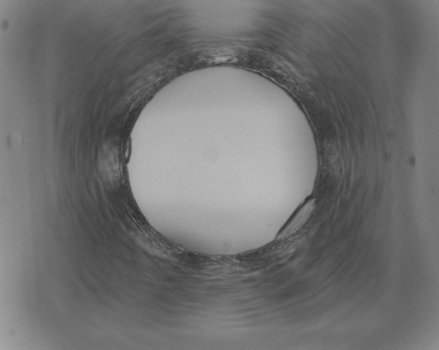 X0000071911442200607281816