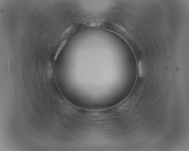 X0000071911443200607281816