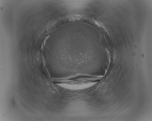 X0000071911445200607281816