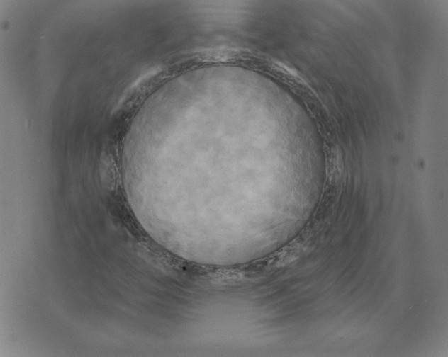 X0000071911446200607281816